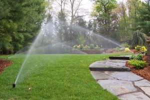 sprinkler irrigation spring fireup